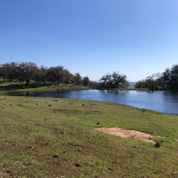 Meet your Posher, Maren - Picture 1 of 1